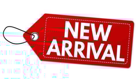 2009 Hyundai Accent for sale at Indy West Motors Inc. in Indianapolis IN