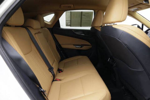 2024 Lexus NX 250