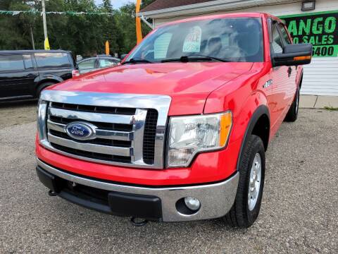 2011 Ford F-150 for sale at DANGO AUTO SALES in Howard City MI