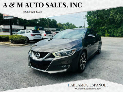 2016 Nissan Maxima for sale at A & M Auto Sales, Inc in Alabaster AL