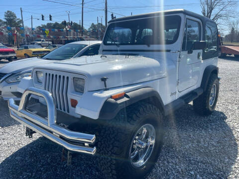 1993 Jeep Wrangler for sale at R & J Auto Sales in Ardmore AL