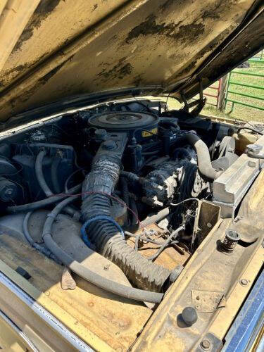 1981 Jeep Wagoneer Limited