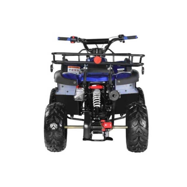 2025 Coolster 120cc 3125R