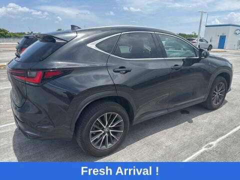 2024 Lexus NX 250