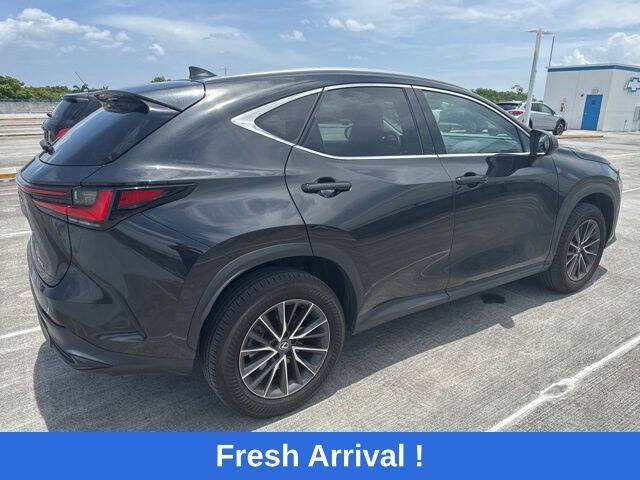 2024 Lexus NX 250