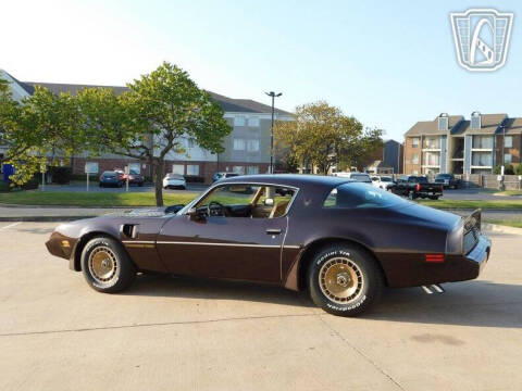 1981 Pontiac Firebird Trans Am