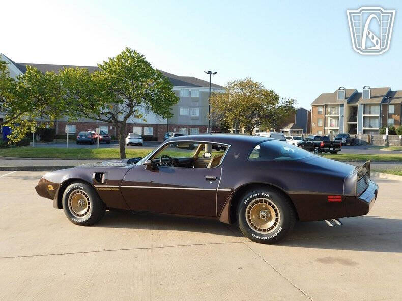 1981 Pontiac Firebird Trans Am