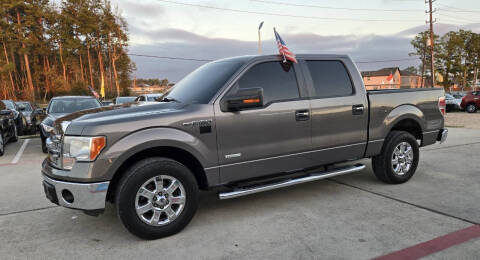 2014 Ford F-150 for sale at ALWAYS MOTORS in Spring TX