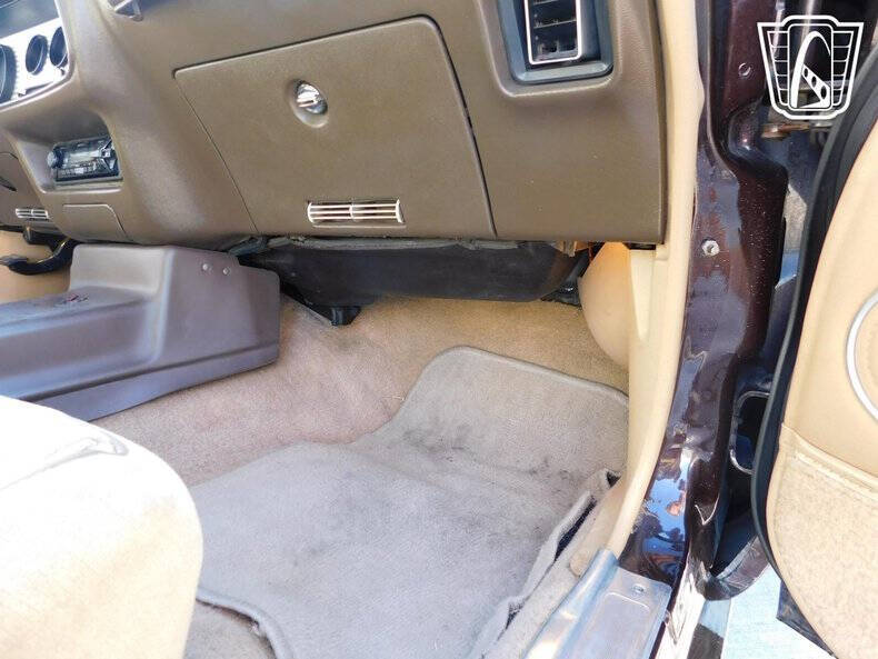 1981 Pontiac Firebird Trans Am