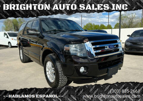 2013 Ford Expedition for sale at BRIGHTON AUTO SALES INC in Brighton CO