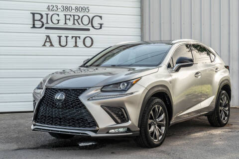 2019 Lexus NX 300 for sale at Big Frog Auto in Cleveland TN