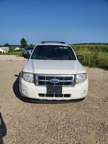 2010 Ford Escape for sale at B & T Car Sales LLC in Sand Lake MI