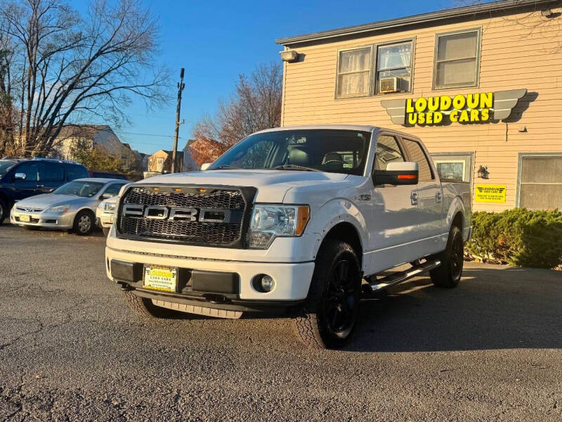 2010 Ford F-150 for sale at Loudoun Motor Cars - Loudoun Used Cars in Leesburg VA