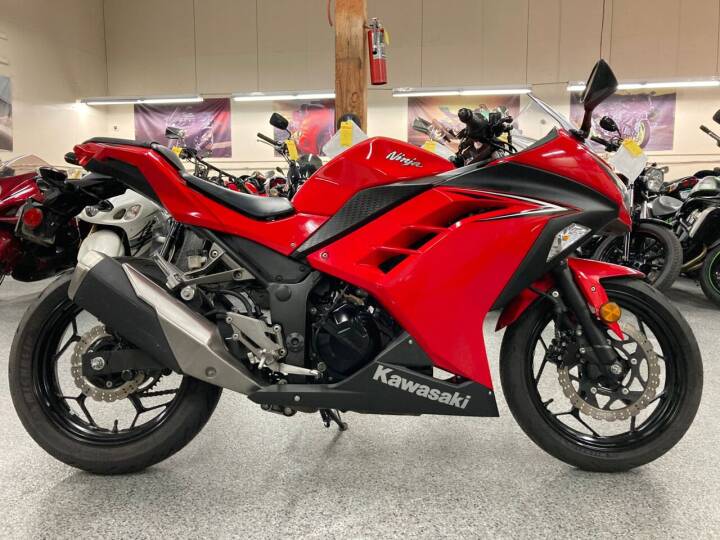 Kawasaki Ninja 300 Image