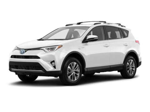 2016 Toyota RAV4 Hybrid for sale at BORGMAN OF HOLLAND LLC in Holland MI