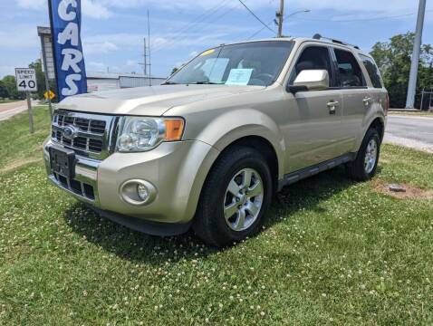 2010 Ford Escape for sale at AUTO PROS SALES AND SERVICE in Belleville IL