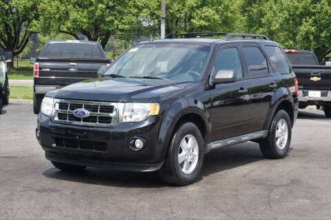 2010 Ford Escape for sale at Low Cost Cars North in Whitehall OH