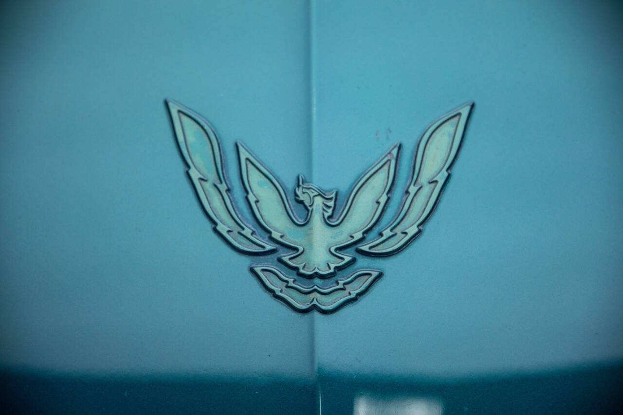 1995 Pontiac Firebird 30
