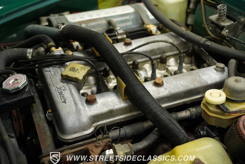 1978 Alfa Romeo Spider