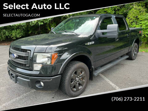 2014 Ford F-150 for sale at Select Auto LLC in Ellijay GA