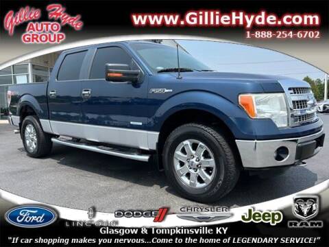 2013 Ford F-150 for sale at Gillie Hyde Auto Group in Glasgow KY