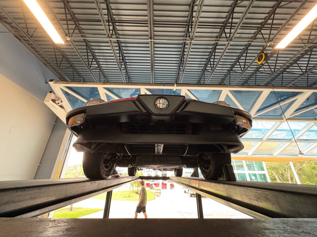 1986 Alfa Romeo Spider 55