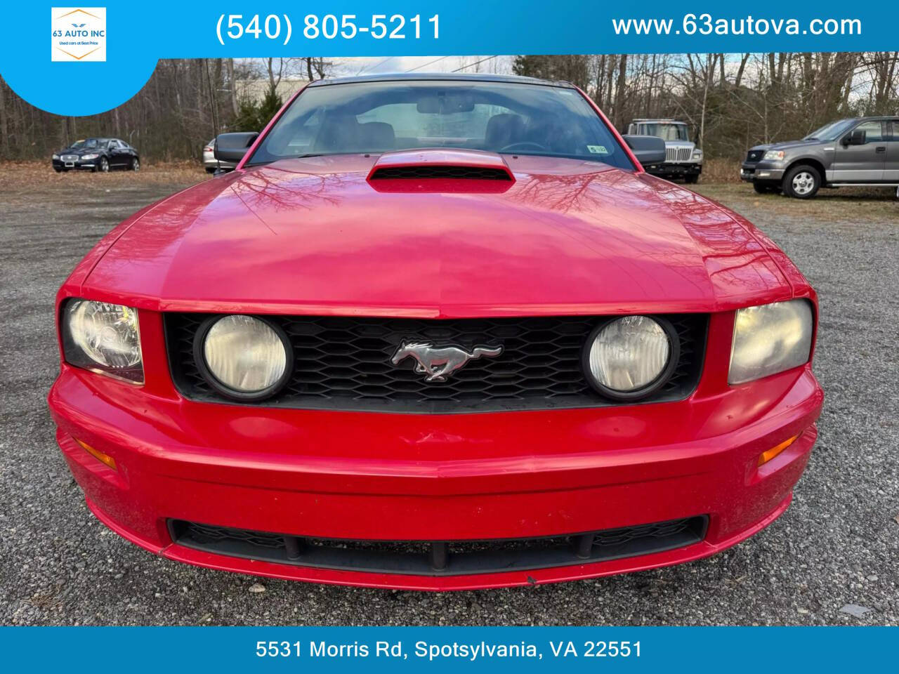 2009 Ford Mustang GT Premium photo 12