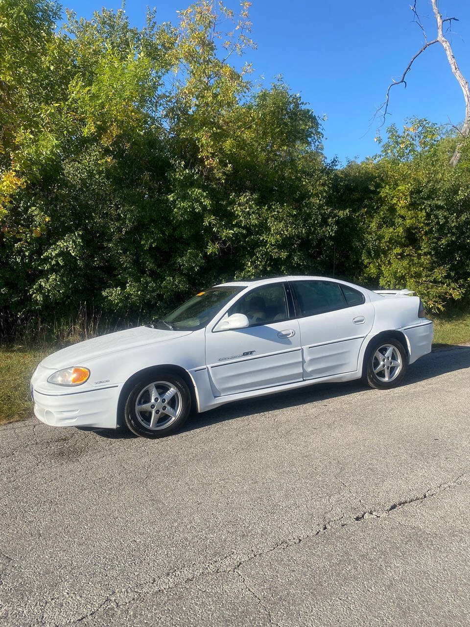 1999 Pontiac Grand Am for sale at Endless auto in Blue Island, IL