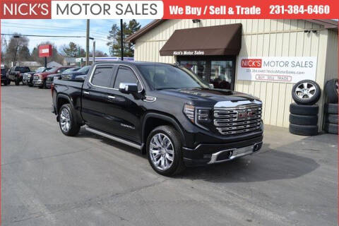 2022 GMC Sierra 1500 for sale at Nick's Motor Sales in Kalkaska MI