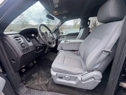2011 Ford F-150