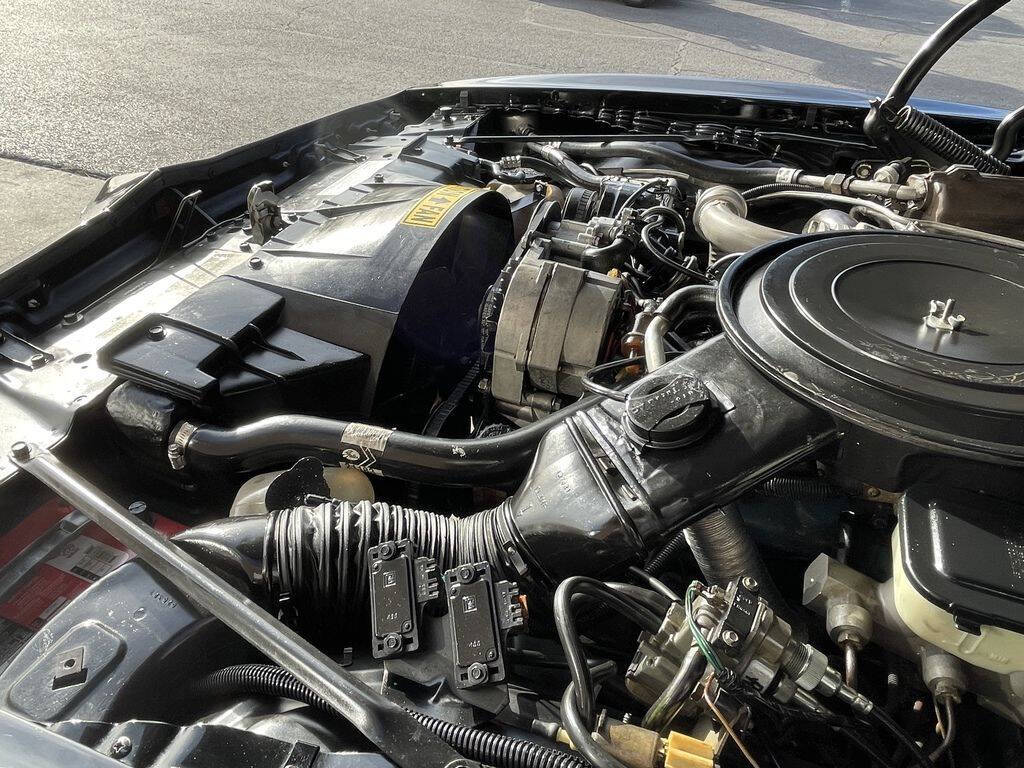 1981 Pontiac Firebird 22