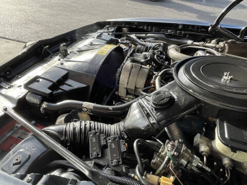 1981 Pontiac Firebird Trans Am