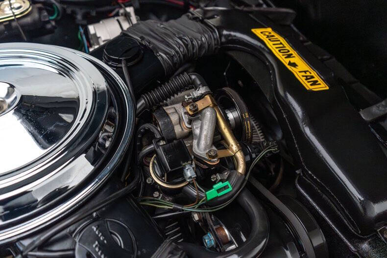 1981 Chevrolet Corvette