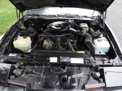 1983 Pontiac Firebird Trans Am