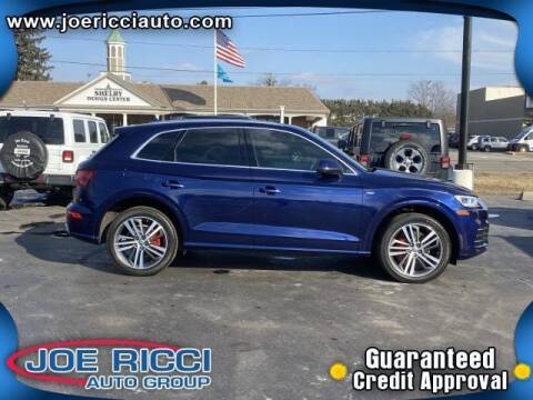 2018 Audi Q5 for sale at JOE RICCI AUTOMOTIVE in Clinton Township MI