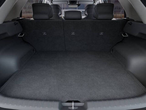 2025 Kia Niro EV Wave