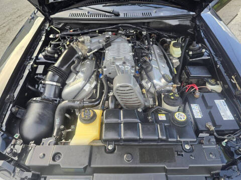 2003 Ford Mustang SVT Cobra