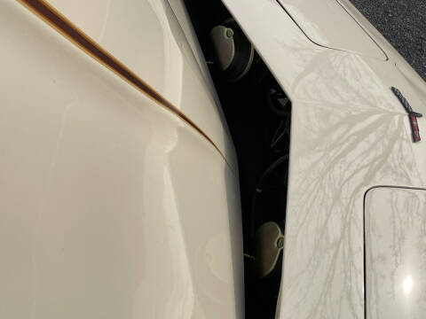 1981 Chevrolet Corvette