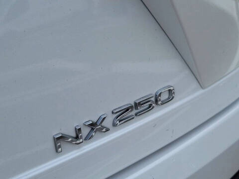 2024 Lexus NX 250 Premium
