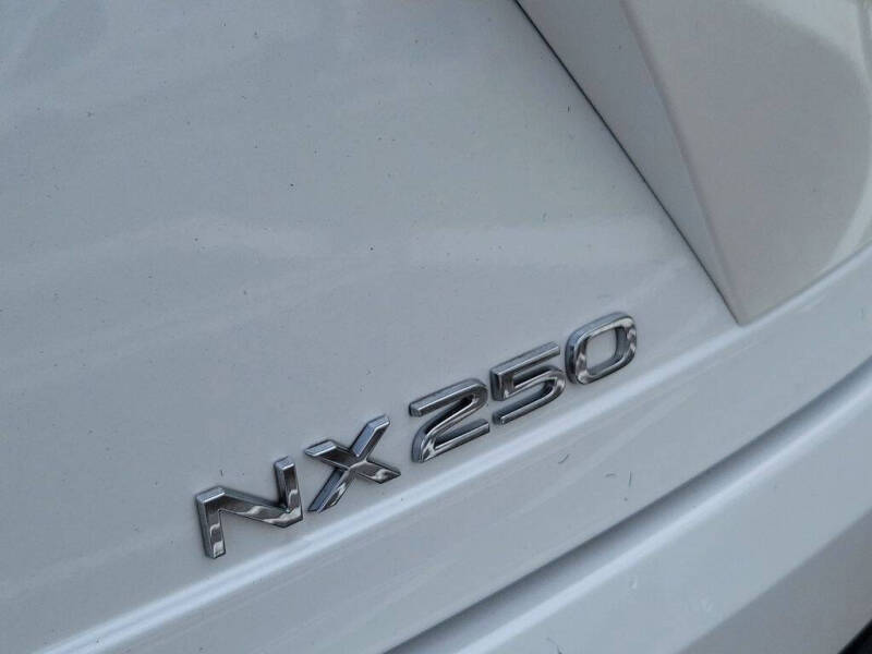 2024 Lexus NX 250 Premium
