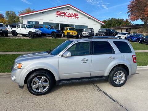 2009 Ford Escape for sale at Efkamp Auto Sales LLC in Des Moines IA