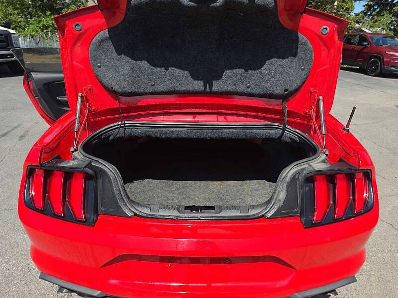 2019 Ford Mustang