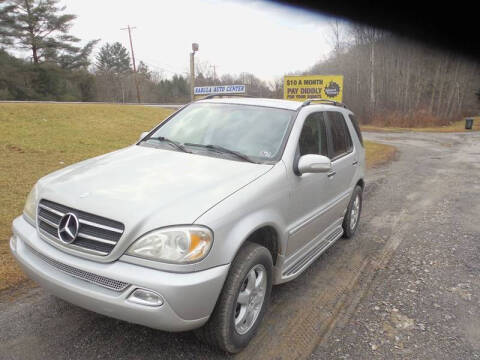 2002 Mercedes-Benz M-Class for sale at Sabula Auto Center & U-Haul in Du Bois PA