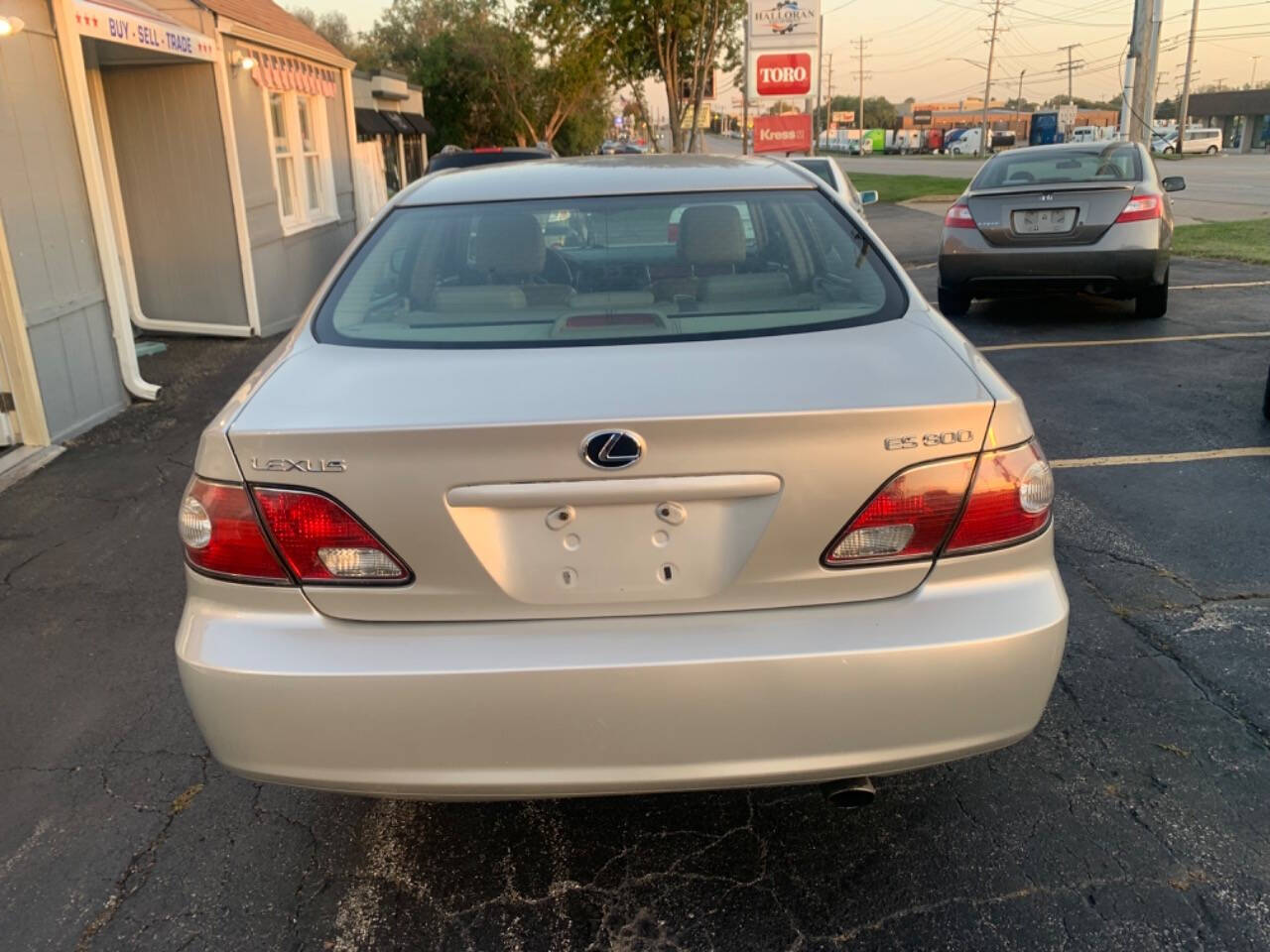 2003 Lexus ES 300 for sale at Sawan Auto Sales Inc in Palatine, IL