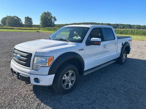 2009 Ford F-150 for sale at WESTERN RESERVE AUTO SALES in Beloit OH