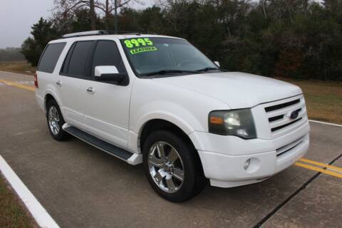 2009 Ford Expedition for sale at Clear Lake Auto World in League City TX