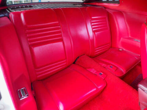 1981 Pontiac Firebird Trans Am