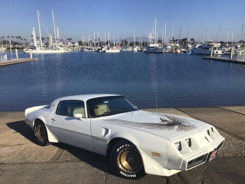 1981 Pontiac Firebird Trans Am