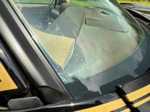 1981 Pontiac Firebird Trans Am