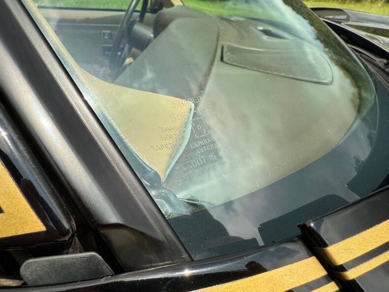 1981 Pontiac Firebird Trans Am